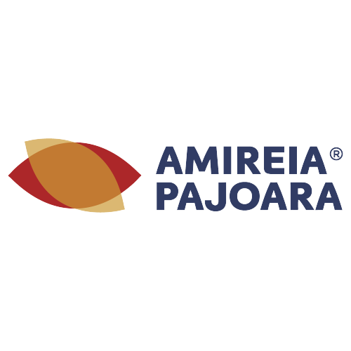 10_Amireia-Pajoara.png
